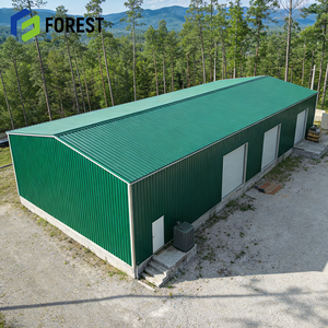 Almacén de Estructura de Acero Prefabricado de Doble Propósito, Sala de Exposiciones Internacional para Logística de Exportación, Uso en Talleres y Apartamentos - Product Image 1