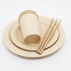 Bambu tabak ve kap seti doğal Compostable kağıt bardaklar tek kullanımlık biyobozunur tek kullanımlık yemek takımı