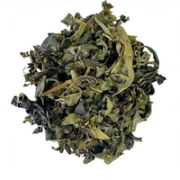 Sachets de thé vert OEM ODM HACCP ISO22000 20 unités 40g Infusion chaude ou glacée Caféine naturelle