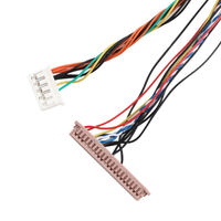 Maßgefertigte LVDS-Kabelkonfektion EDP LCD-Display Kabelbaum DF13 DF14 DF19 FI X30 OEM ODM Fabriklieferung
