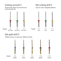Instrument endodontique d'approvisionnement d'usine extracteur de canal radiculaire dentaire Kit de retrait de fichiers cassés Kit de retrait Endo dentaire