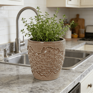 Maceta de Cerámica Estampada Marrón Claro Estilo Americano Vintage - Maceta Ecológica y Duradera con Textura de Estrella para Jardín Interior y Exterior del Hogar - Product Image 3