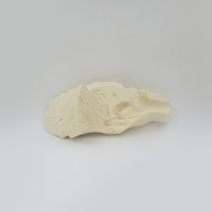 5x Vergroot Temporaal Bot Anatomisch Model-<span class=keywords><strong>2</strong></span>-deel Met Midden/Binnenoor Details - Product Image 2