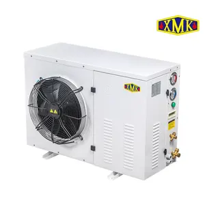 Unidade de condensamento comercial de 2hp com compressor de rolagem/caixa horizontal tipo a unidade de condensamento