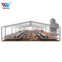 Structure en acier préfabriquée de sécurité pour élevage de volailles avec services de soudage et de découpe