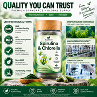 Capsules de Spiruline et Chlorelle 2300mg, Complexe Super Greens 9-en-1, Sans OGM, Capsules Végétales, 120 Comprimés, Complément Alimentaire Quotidien de Légumes Verts