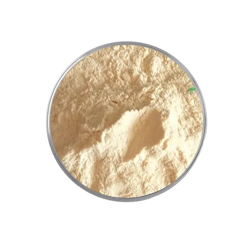 Extracto de Ginseng orgánico de alta calidad, polvo de Ginseng Ginsenoside 80%, polvo de extracto de Ginseng rojo coreano