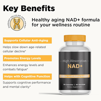 OEM Vente Chaude Supplément Hommes avec Maca pour l'Entraînement, Supplément de Gym Maca Noire