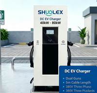 Chargeur EV commercial public SHUOLEX 40kW-80kW à double sortie, station de charge rapide avec écran intelligent, résistant à l'eau IP54