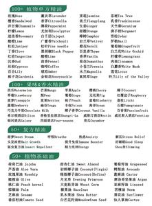 Desodorante <span class=keywords><strong>antitranspirante</strong></span> para mujeres y hombres Protección contra el sudor y el olor de alto grado Aroma fresco - Product Image 5