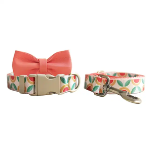 Collares ajustables para mascotas <span class=keywords><strong>Nylon</strong></span> suave Cómodo Diseño especial Patrones tribales <span class=keywords><strong>Collar</strong></span> de perro de tela duradera - Product Image 4