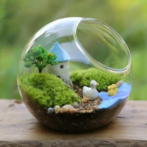 Vaso di decorazione per la casa succulenta aria chiara globo Micro paesaggio terrario palla di vetro - Product Image 2