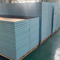 Fournisseur d'usine Panneau de support de carrelage XPS Isolation thermique du sol Panneau imperméable Salles de bain Polystyrène Panneau Wedi Applications murales