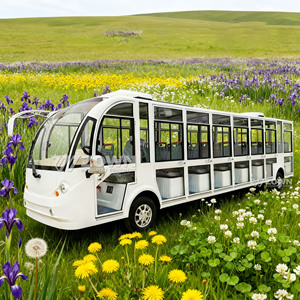 Autobús Turístico Eléctrico de Lujo con Aire Acondicionado Doble, Amplio Espacio para Pasajeros, para Recorridos Urbanos - Product Image 6
