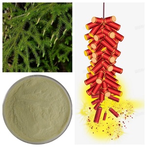 Polvo de Licopodio Chino al por Mayor, Polvo de Licopodio Pesado para Fuegos Artificiales - Product Image 6