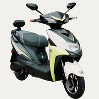 Scooters Électriques Direct Usine Chinoise à Vendre, Moto Électrique à Batterie Puissante, Vélo Électrique