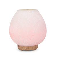 Nouveau diffuseur d'arôme de résine de pulvérisation d'huile essentielle USB Plantain Leaf Design Purification humidificateur de brouillard d'air