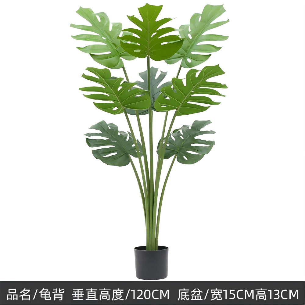 Plantes vertes 2