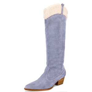 Bottes hautes en daim à talon compensé bas, pointues, style western, pour femme, taille 46, avec fourrure, pour l'hiver - Product Image 4