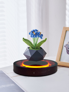 Maceta Geométrica Flotante con Levitación Magnética, Decoración de Escritorio para el Hogar y la Oficina, Diseño Interior Minimalista - Product Image 3