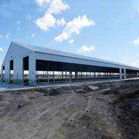 Nave Avícola Moderna con Estructura de Acero de Gran Envergadura, Certificada por la CE, Construcción Prefabricada de Techo Transparente