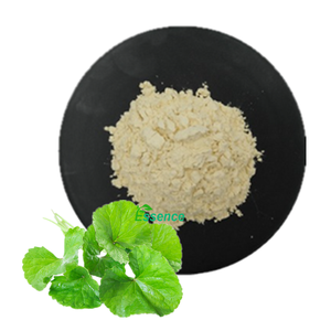 Yüksek Kaliteli <span class=keywords><strong>Asiaticoside</strong></span> Tozu Gotu Kola Bitki Ekstresi <span class=keywords><strong>Asiaticoside</strong></span> %5~%<span class=keywords><strong>90</strong></span> Centella Asiatica Ekstresi Tozu - Product Image 3