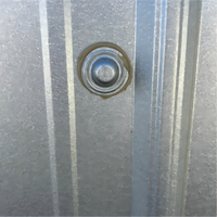 Galvanized Steel Roofing Fasteners Metal Roof Screw Caps for Cover Roof Screws in Container House Stainless Steel Is Available