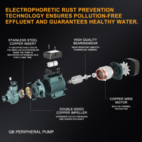 GRANDFAR QB50 125W 220V Pompe à Eau Périphérique Haute Pression avec Moteur en Cuivre Pur, Surpresseur Électrique de Surface