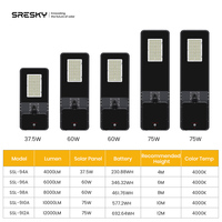 Projecteur solaire de haute qualité SRESKY pour projets gouvernementaux, lampadaires solaires étanches pour extérieur, 60w 80w, lampadaire solaire LED