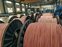 Fabrikpreis 3-adriges 2-adriges 2,5mm 4mm 6mm Kupfer-Elektrokabel, Zweiadriges und Erdungs-TPS-Flachkabel