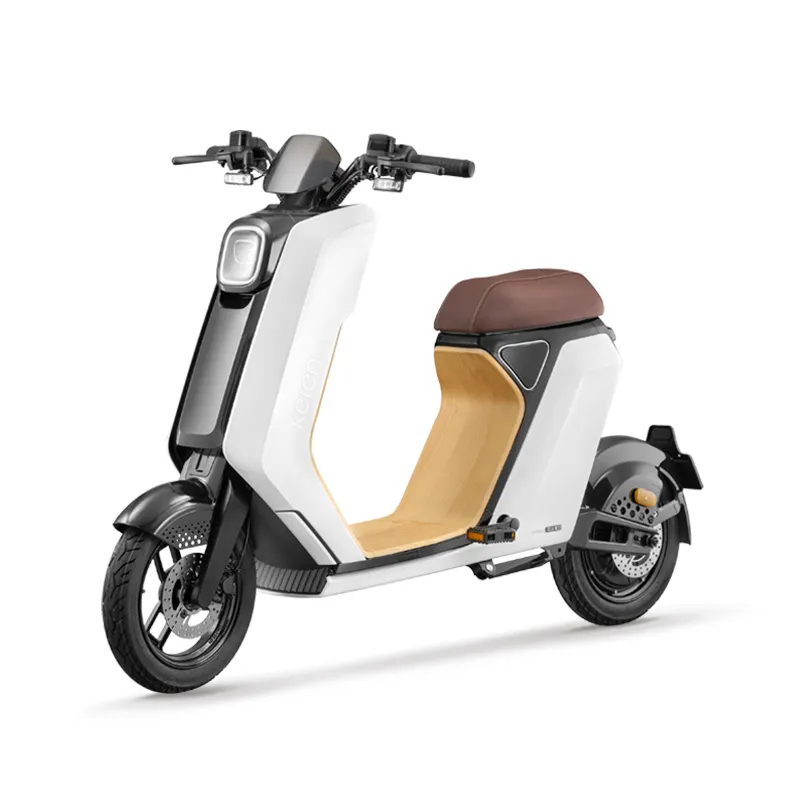 Fashion style appearance adult electric motorcycle e bike scooter