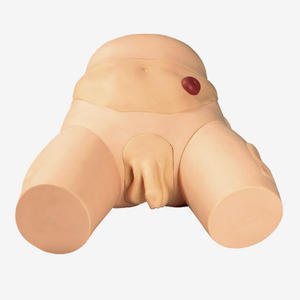 Mannequin en PVC Buywells GD/H27 SICHUAN pour l'enseignement et l'<span class=keywords><strong>apprentissage</strong></span> de la cathétérisme urétral, de l'irrigation et de l'anatomie électronique - Product Image 2