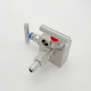 Deux DN5 en acier inoxydable haute pression intégrés - Product Image 4