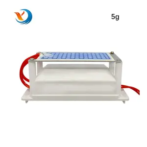 Máy Tạo Ozone Bằng Gốm 220V 5G Máy Khử Trùng Ozone Trong Máy Lọc Không Khí