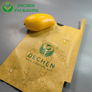 Grape Packaging Two Layer Mango Protection Carbon Protective Paper Bag Grape Packaging Two Layer Mango Protection Carbon Protective Paper Bag
