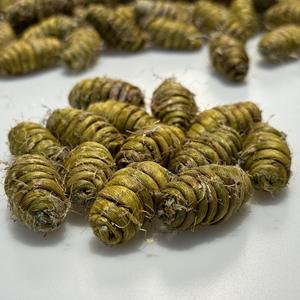 Dendrobium Officinale en Gros, Spécialité de l'Anhui, Tiges Séchées 500g, Substances Gélatineuses Épaisses, Poudre Broyable, Approvisionnement Direct - Product Image 6