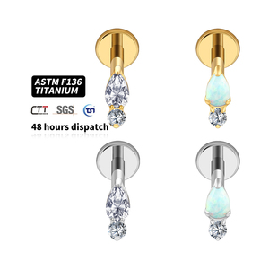Anting-anting <span class=keywords><strong>titanium</strong></span> berulir dalam dengan desain cluster CZ klasik bentuk Marquise & Bulat untuk tindik telinga, tulang rawan, helix, dan tragus. - Product Image 1