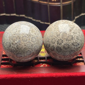 Venta al por Mayor de Esferas de Jade Coral Natural, Fósiles de Bola, Cristal Curativo para Decoración Feng Shui - Product Image 2