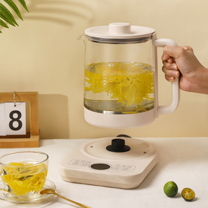Théière multifonctionnelle en verre borosilicate haute résistance, fonction de cuisson rapide et de conservation de la chaleur, bouilloire électrique - Product Image 4