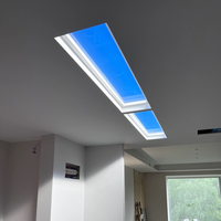 BBIER plafond artificiel soleil rond lucarnes lumière du soleil intérieur LED bleu panneau lumineux