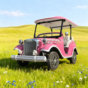 Autobús Clásico Eléctrico Retro de Turismo a Precio de Fábrica, 4 Ruedas, Lujo, Color Personalizado, Tamaño Personalizado - Product Image 1