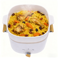 Mini-cuiseur à riz électrique multifonctionnel, cuiseur à œufs rapide et chauffe-soupe avec couvercle en verre trempé, certifié CB CE