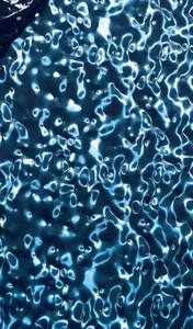 Usine de fabrication, bobine d'acier, enduit de couleur et pré-peint, rouleau d'acier galvanisé - Product Image 5