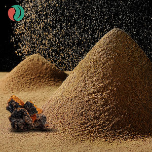 Extrait de champignon Chaga biologique Herspirit Chine, poudre d'<span class=keywords><strong>or</strong></span> noir de champignon Chaga, extrait de Chaga, extrait à base de plantes - Product Image 3