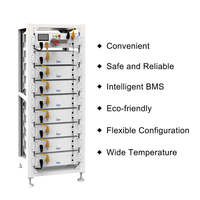 Modul Baterai Deye Tegangan Tinggi 51.2V/100Ah -5.12kWh Rakitan Baterai Terpasang di Rak BOS-G-Pack5.1+BOS-G-PDU-2+9/13 Braket Lapis
