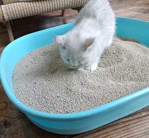 Arena para gatos <span class=keywords><strong>Taido</strong></span> OEM personalizada Natural orgánico limón fragante Premium arcilla bentonita arena para gatos sin polvo Color forma de bola arena orgánica para gatos - Product Image 1