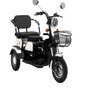 Desain baru 500W sepeda roda tiga listrik skuter bermotor untuk dinonaktifkan dibuat di Tiongkok dengan penggunaan penumpang bertenaga baterai