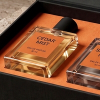 Boîte à parfum rigide de luxe personnalisée, style livre noir magnétique, emballage écologique pour cosmétiques et parfums, présentation double flacon