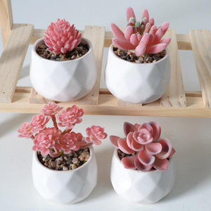 Succulentas Artificiales de la Serie Roja, Plantas Verdes Decorativas para el Hogar, Mini Adorno Combinado, Bonsái Artificial en Maceta - Product Image 4