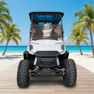 Carritos de Golf de Lujo de 2 y 4 Plazas con Batería de Litio de Ciclo Profundo - Disponibles a Precios de Mayoreo - Product Image 1